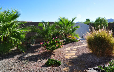 August view of backyard