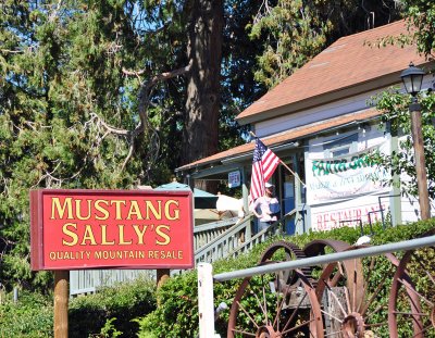 Mustangs-Sally