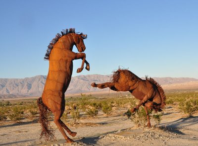 Horse-Fight.