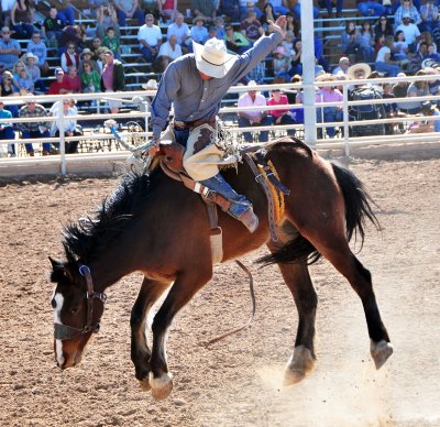 Yuma 2011 Rodeo