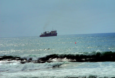 Fiesto Del Rio