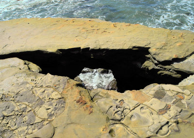 tide pools