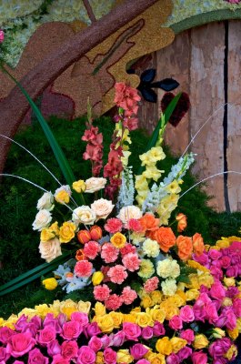 g1/26/12626/3/107728475.fU7t5xq2.jpg