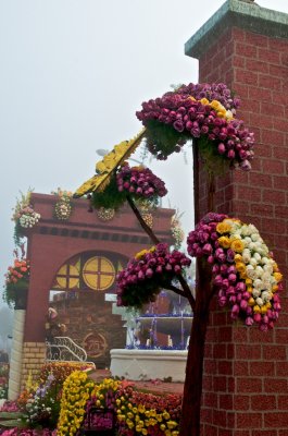 g1/26/12626/3/107728499.VJE5un6K.jpg