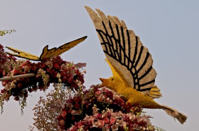 g1/26/12626/3/107728544.VezzSAtS.jpg