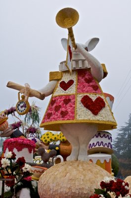 g1/26/12626/3/107728623.t6rtTUG0.jpg