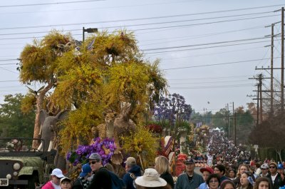 g1/26/12626/3/107775551.OcbIYaMU.jpg