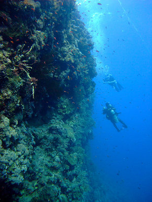 Two Divers on a Wall 11