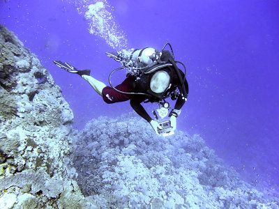 Diver on a Wall 02