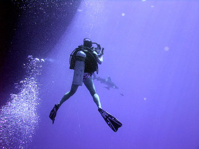 Photographing an Oceanic Whitetip 21