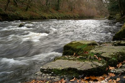 Dartmoor River 01