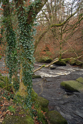 Dartmoor River 02