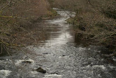 Dartmoor River 03