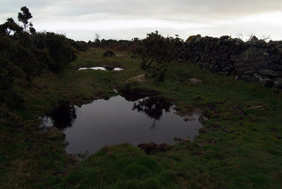 Puddle on the Moors 02