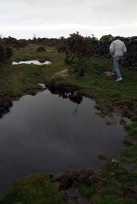 Puddle on the Moors 03