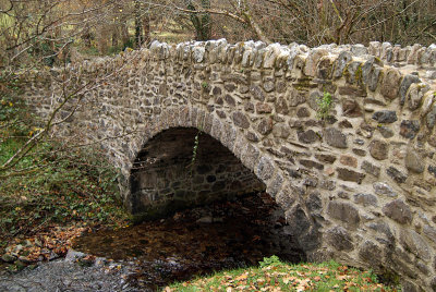 Bridge in Dartmoor