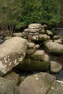 Dartmoor River 10