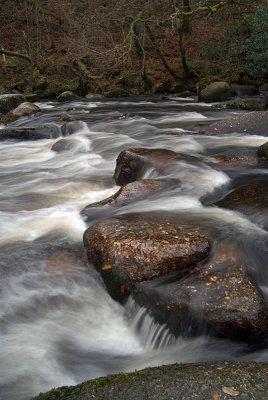 Dartmoor River 06