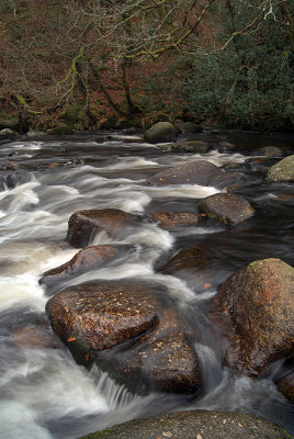 Dartmoor River 07