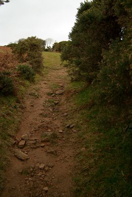 Muddy Track Dartmoor