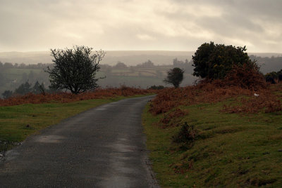 Roads in Dartmoor 07