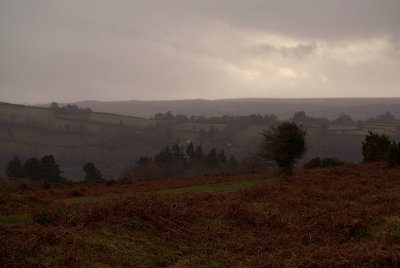 The Moors Dartmoor National Park