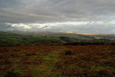 The Moors Dartmoor National Park 02