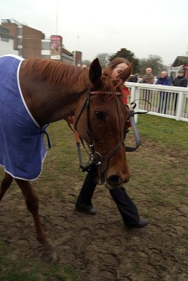 In the Winners Enclosure