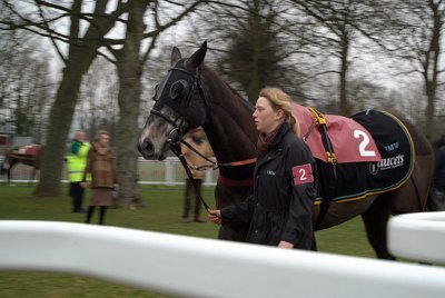 Crofters Lad Before the Race