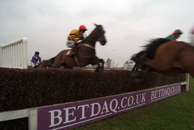 Horses Jumping at Folkestone