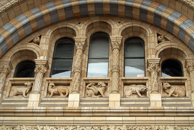 Natural History Museum London Exterior Detail 03