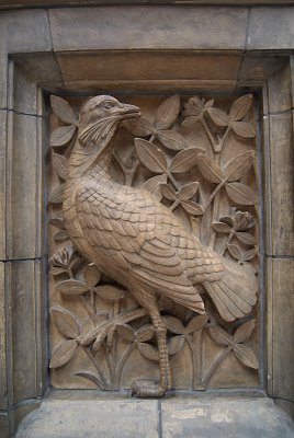 Natural History Museum London Exterior Detail 04