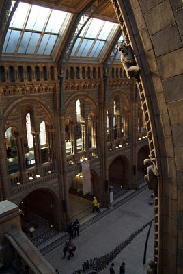 Natural History Museum London Interior 02