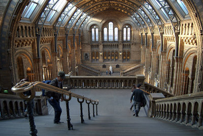 Natural History Museum London Interior 03