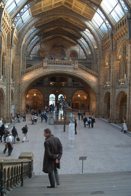 Natural History Museum London Interior 05