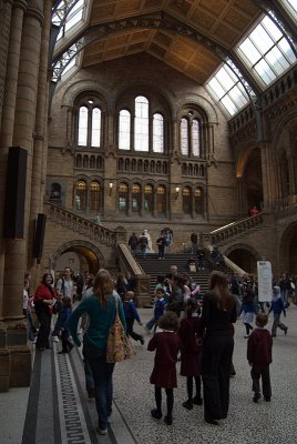 Natural History Museum London Interior 08