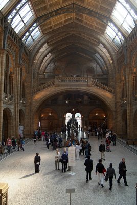 Natural History Museum London Interior 11