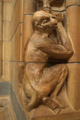 Natural History Museum London Interior Detail