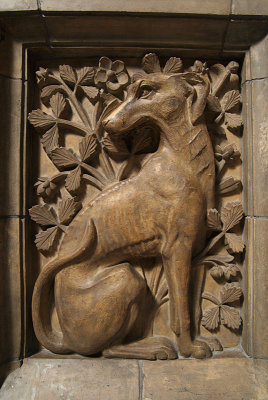 Natural History Museum London Interior Detail 02