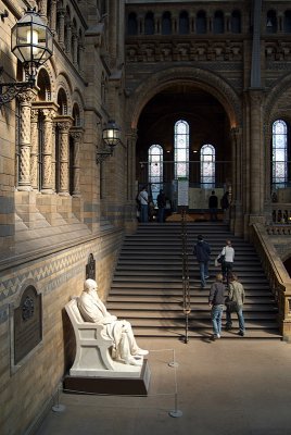 Natural History Museum London Statue of Darwin 02