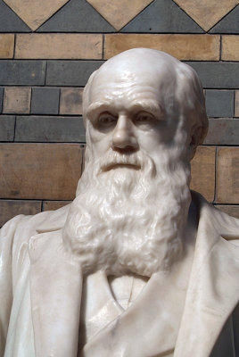 Natural History Museum London Statue of Darwin 03