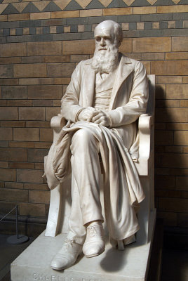 Natural History Museum London Statue of Darwin 04