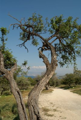 Akamas Peninsula Coastline 08