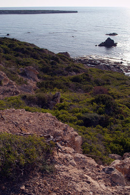 Akamas Peninsula Coastline 53