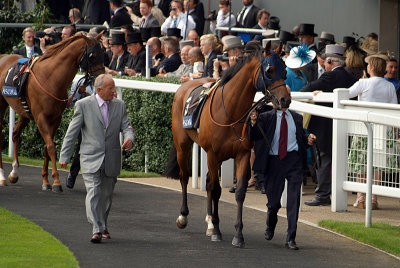 Horses Prior to Race Royal Ascot 02