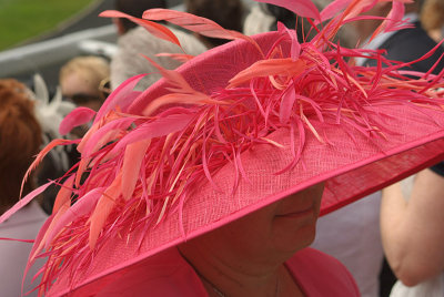 Pink Hat Royal Ascot
