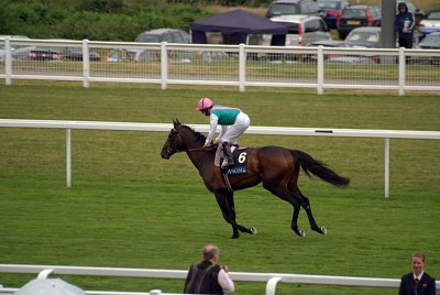 Twice Over Cantering Royal Ascot