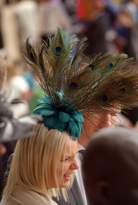Peacock Hat Royal Ascot