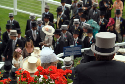 Grey Top Hat Red Flowers Royal Ascot