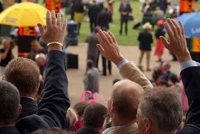 We're Over Here Royal Ascot